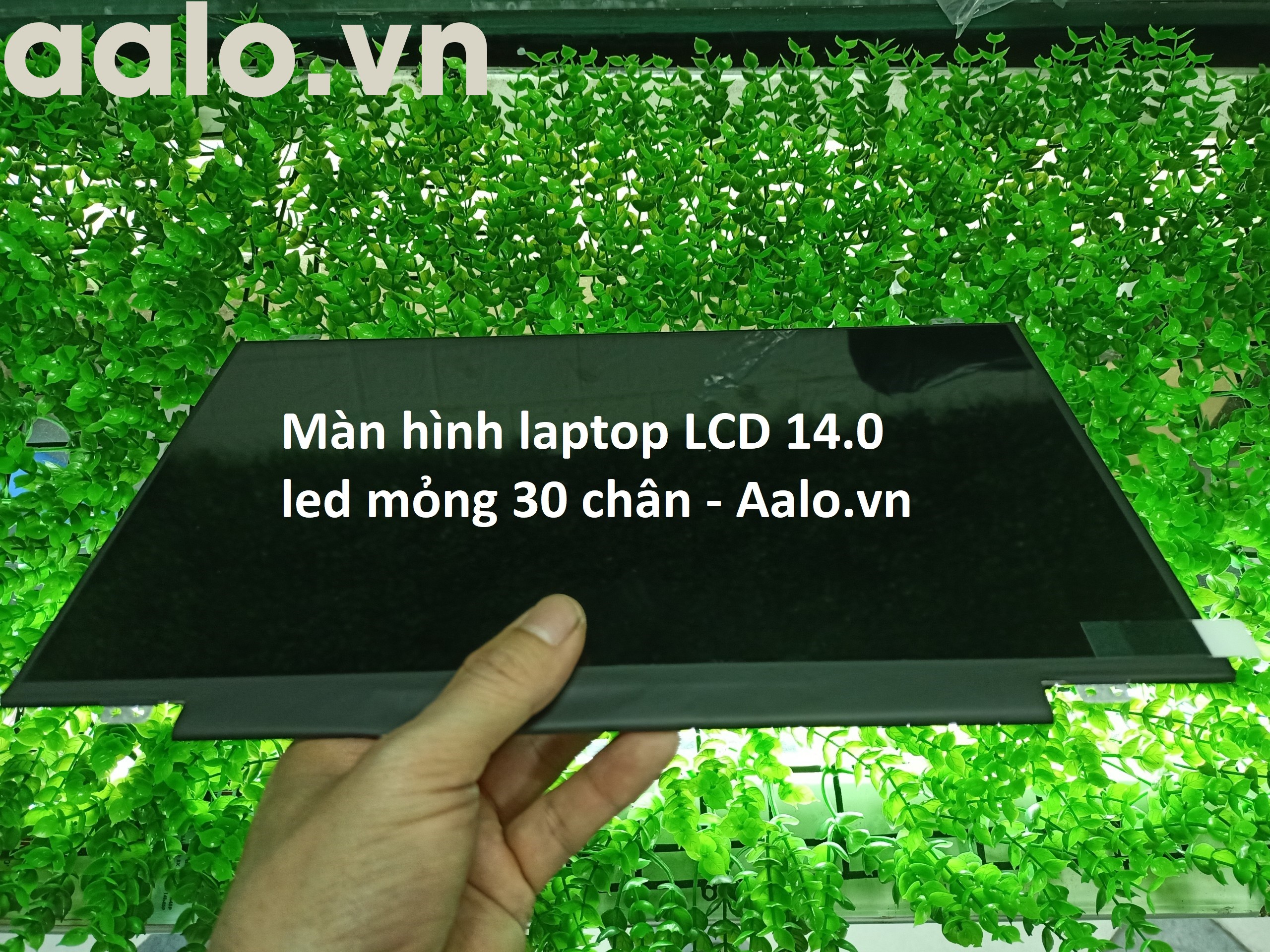 Màn hình Laptop Lenovo Ideapad 310-14ISK